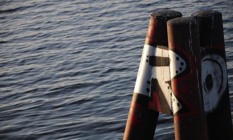 mozillad5 2f5 installation guide