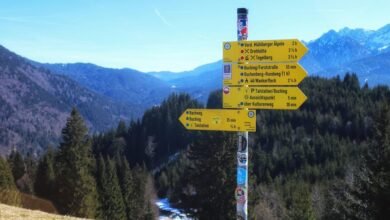 nightshade paralysis effects explained