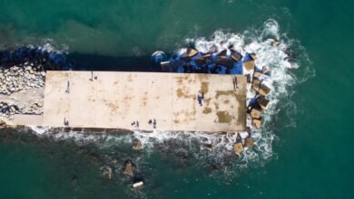 power bet 247 insights