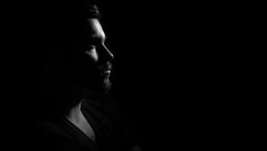 profile insights overview highlights