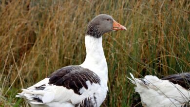 profile updates and overview