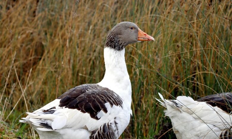 profile updates and overview