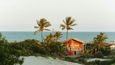 quemliga operational overview explained