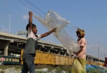 activity snapshot for ids