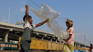 activity snapshot for ids