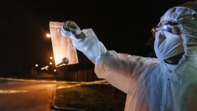 key findings for analysis