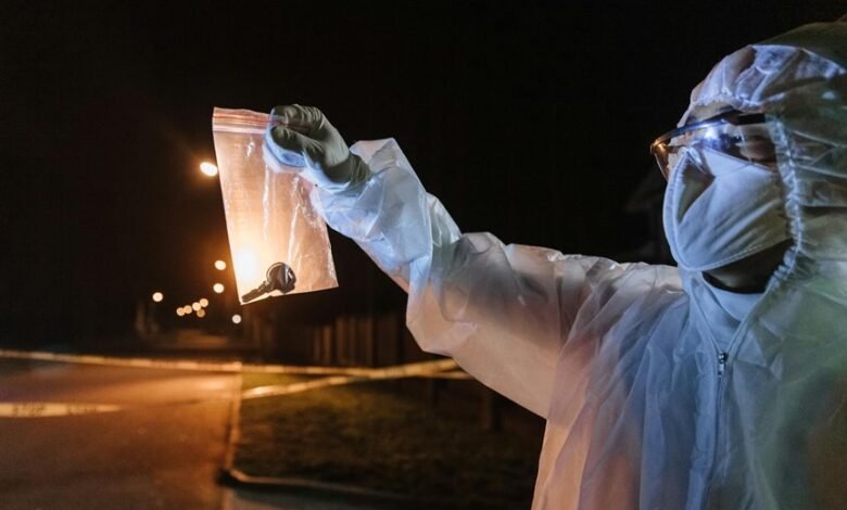 key findings for analysis