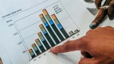 sector review document overview