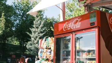 brand visibility expansion strategy